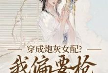 穿成炮灰女配？我偏要抢女主资源顾柠芸慕辰泽热门小说排行榜穿成炮灰女配？我偏要抢女主资源免费小说-看书城