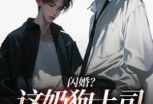 (全文)闪婚？这奶狗上司真难缠赵芜鱼邓北辰全本免费在线阅读-看书城
