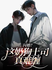 (全文)闪婚？这奶狗上司真难缠赵芜鱼邓北辰全本免费在线阅读