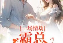 (全文)一场情劫，霸总追妻不休梁怀茵卓靖诗小说推荐，一场情劫，霸总追妻不休全章小说阅读-看书城