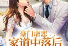 豪门虐恋：家道中落后我提出离婚了推荐完结小说，豪门虐恋：家道中落后我提出离婚了萧丛南傅烬如免费小说全本-看书城