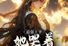 (全文)最强王爷：她哭着跟我求和杨凡全本免费在线阅读-看书城