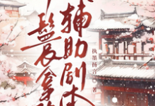 (全文)丫鬟拿稳辅助剧本免费小说全本,傅初霁试读更新章节-看书城