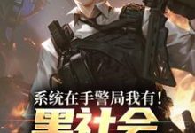 系统在手警局我有!黑社会瑟瑟发抖(吕川)全章小说阅读-看书城