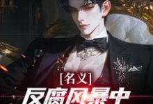 (全文)名义：反腐风暴中我帮叔叔卡bug祁明轩最新完结小说名义：反腐风暴中我帮叔叔卡bug免费阅读-看书城