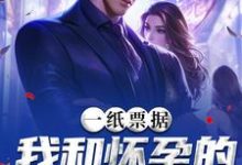 一纸票据，我和怀孕的老婆离婚了霍星云热门小说排行榜一纸票据，我和怀孕的老婆离婚了免费小说-看书城