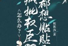 (全文)怎么办？疯批权臣每天都想贴贴我免费小说全本，顾轻舟试读更新章节-看书城