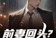 (全文)前妻回头？可惜，迟了！完结小说推荐秦风全本书籍阅读-看书城