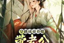 穿越成童养媳，带老公荒年发大财林十七热门小说排行榜穿越成童养媳，带老公荒年发大财免费小说-看书城