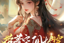 带着空间快穿囤货虐渣养面首（许安宁）全章小说阅读-看书城