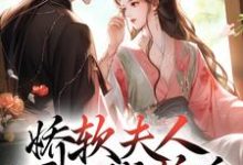 (全文)娇软夫人不再撒娇后，侯爷他慌了乔嫚宁祈全本免费在线阅读-看书城