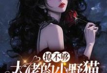 撩不够,大佬的小野猫又欲又嚣张陆晨矅最新完结小说,撩不够,大佬的小野猫又欲又嚣张全本免费在线阅读-看书城