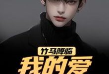 竹马降临，我的爱瞬间扫地（江书正）全章小说阅读-看书城