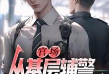 官场:从基层辅警开始崛起王初一最新完结小说,官场:从基层辅警开始崛起全本免费在线阅读-看书城