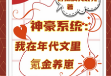 神豪系统:我在年代文里氪金养崽叶晓琳完结小说推荐,神豪系统:我在年代文里氪金养崽全章小说阅读-看书城