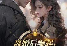 (全文)离婚后崛起,绝美前妻高攀不起免费小说全本,李川试读更新章节-看书城