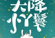 天降小丫鬟完整版小说，天降小丫鬟夏夏试读更新章节-看书城