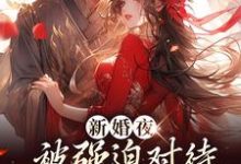 新婚夜被强迫对待，这叫不近女色？谢临珩虞听晚完结小说推荐，新婚夜被强迫对待，这叫不近女色？全章小说阅读-看书城