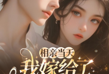 相亲当天,我嫁给了京都首富蓝冉最新完结小说,相亲当天,我嫁给了京都首富全本免费在线阅读-看书城