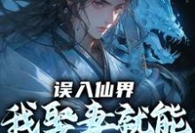 (全文)误入仙界，我娶妻就能天下无敌许世安完结小说推荐误入仙界，我娶妻就能天下无敌试读更新章节-看书城