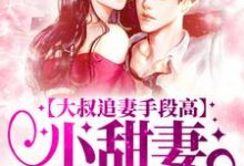 大叔追妻手段高,小甜妻逃不掉叶柠谢聿礼最新完结小说,大叔追妻手段高,小甜妻逃不掉全本免费在线阅读-看书城