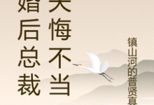 离婚后总裁前夫悔不当初热门小说排行榜离婚后总裁前夫悔不当初颜轻语免费小说全本-看书城