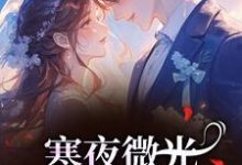 (全文)寒夜微光:她的逆袭人生袁小苔完结小说推荐寒夜微光:她的逆袭人生试读更新章节-看书城