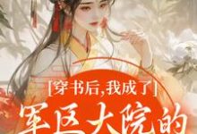 穿书后,我成了军区大院的暴力团宠推荐完结小说,穿书后,我成了军区大院的暴力团宠南汐免费小说全本-看书城