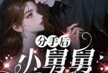 分手后，小舅舅夜夜洗床单推荐完结小说分手后，小舅舅夜夜洗床单(沈锦悦)免费小说全本-看书城