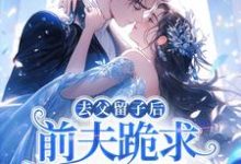 (全文)去父留子后，前夫跪求伺候我月子！热门小说排行榜，去父留子后，前夫跪求伺候我月子！林亦棠全章小说阅读-看书城