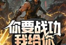 (全文)你要战功我给你，妖兽入侵你哭啥(叶天)全本免费在线阅读-看书城