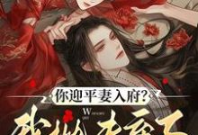 你迎平妻入府？我抛夫弃子嫁暴君推荐完结小说，你迎平妻入府？我抛夫弃子嫁暴君宋锦书免费小说全本-看书城