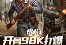 抗战:开局98K打爆大佐狗头完整版小说,抗战:开局98K打爆大佐狗头林平安全章小说阅读-看书城