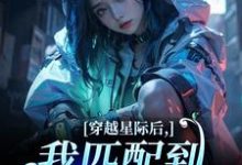 穿越星际后,我匹配到九个大冤种(洛千)全章小说阅读-看书城