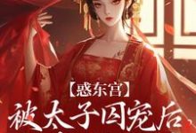 (全文)惑东宫:被太子囚宠后,她权倾天下陆菀音小说推荐,惑东宫:被太子囚宠后,她权倾天下全章小说阅读-看书城