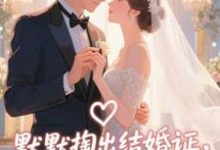 默默掏出结婚证，我的老公好奶宋禧试读更新章节默默掏出结婚证，我的老公好奶宋禧免费小说-看书城
