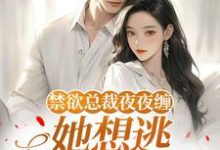 禁欲总裁夜夜缠，她想逃却逃不掉​​完整版小说禁欲总裁夜夜缠，她想逃却逃不掉​​(温澜)全章小说阅读-看书城