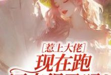 惹上大佬，现在跑还来得及吗？完整版小说惹上大佬，现在跑还来得及吗？(林媛)全章小说阅读-看书城