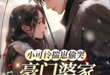 小可怜揣崽偷哭,豪门婆家来团宠最新完结小说小可怜揣崽偷哭,豪门婆家来团宠苏念念免费小说-看书城
