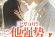 千方百计！他强势夺我闪婚完整版小说，千方百计！他强势夺我闪婚南昭沙赫全章小说阅读-看书城