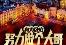 身为卧底，努力做个大哥不过分吧白舟完结小说推荐，身为卧底，努力做个大哥不过分吧全章小说阅读-看书城