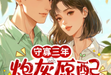 守寡三年，炮灰原配带崽去离婚热门小说排行榜守寡三年，炮灰原配带崽去离婚苏月免费小说全本-看书城