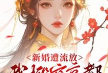 (全文)新婚遭流放，我搬空京都去逃荒桑晚柠全本免费在线阅读-看书城