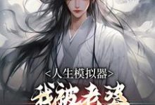 人生模拟器:我被老婆逼成世间极境(白棋陈北玄)小说推荐人生模拟器:我被老婆逼成世间极境全章小说阅读-看书城