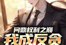 (全文)问鼎权利之巅，我成反贪第一人方晓倩最新完结小说问鼎权利之巅，我成反贪第一人免费小说全本-看书城
