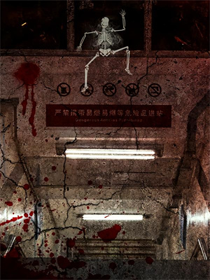 完结版《月落江枫离旧人》章节阅读