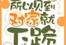 因为太怂所以见到对家就下跪叶暮免费小说因为太怂所以见到对家就下跪推荐完结小说-看书城