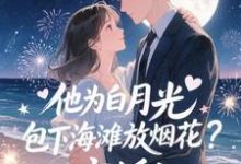 他为白月光包下海滩放烟花？离婚！霍宴州云初最新完结小说，他为白月光包下海滩放烟花？离婚！全本免费在线阅读-看书城