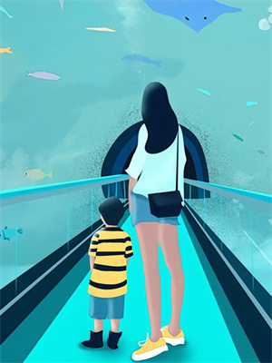 乔若兮沈辞安小说叫什么（他站在回忆尽头免费阅读）