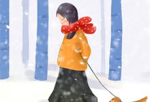 奈何惊鸿入我心小说阅读，奈何惊鸿入我心完结版-看书城